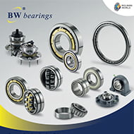 bw bearings