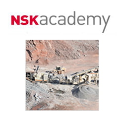NSK academy