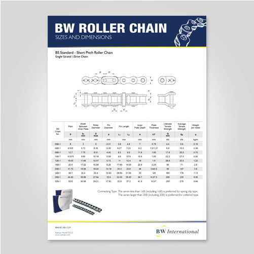 BW Roller Chain BS